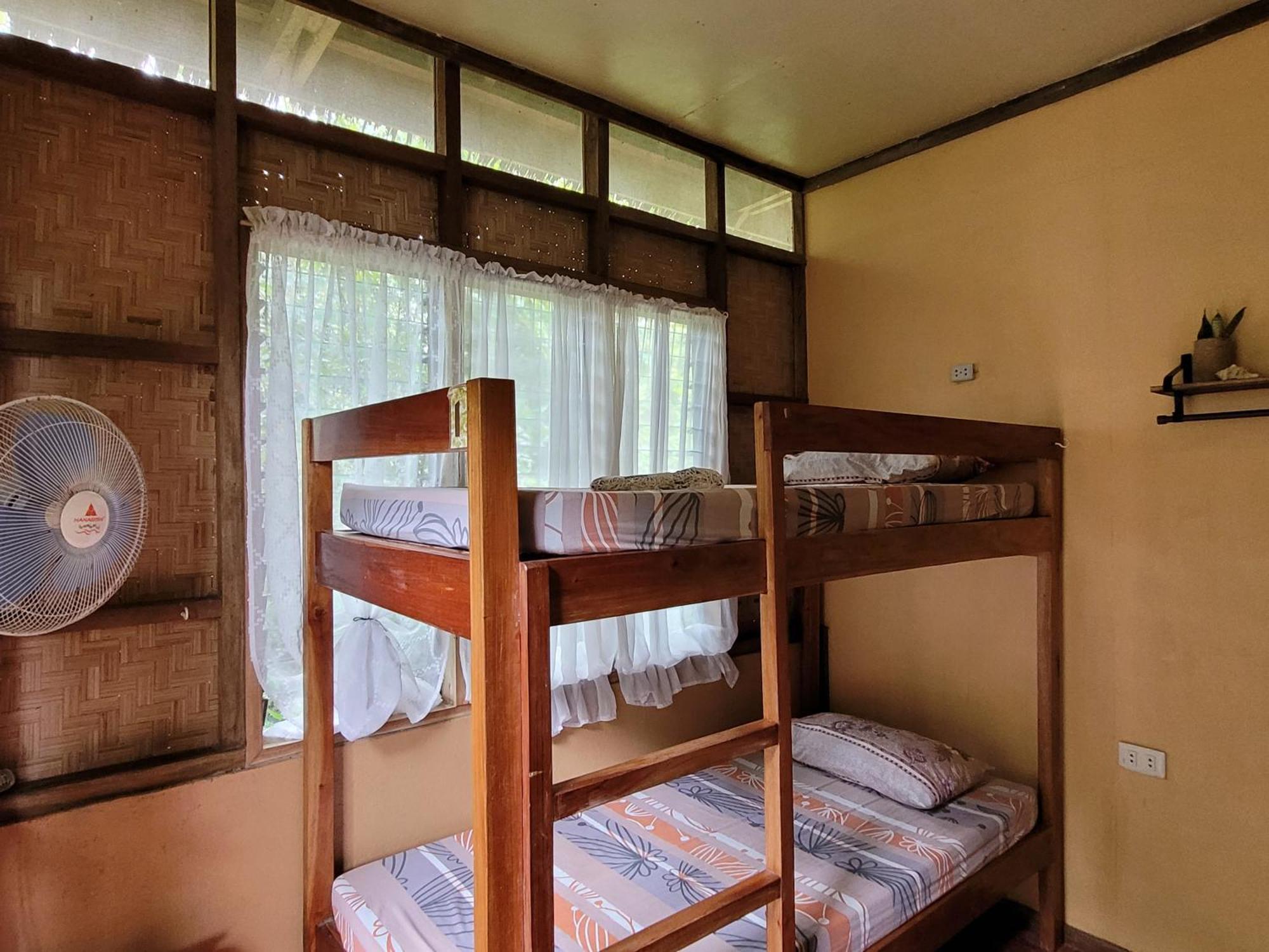 Lazy Lizard Hostel Siquijor Bilik gambar